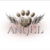 PET ANGEL Logo